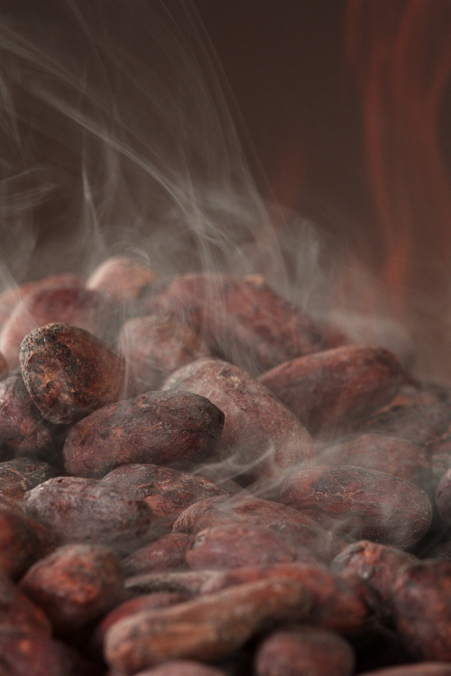 torrefaction-cocoa-valley