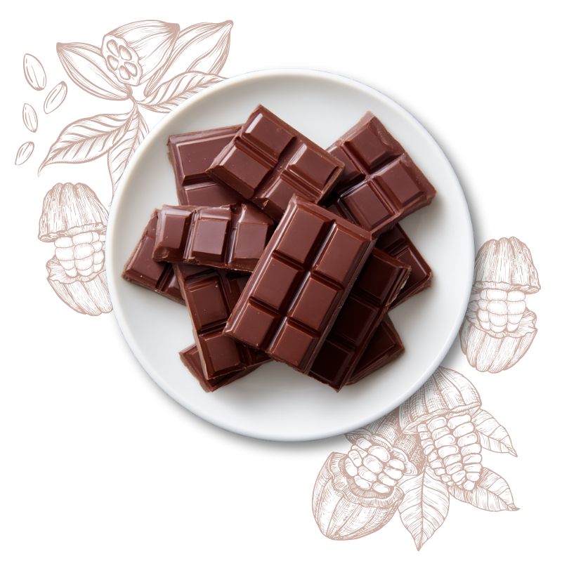 assiette-de-chocolat