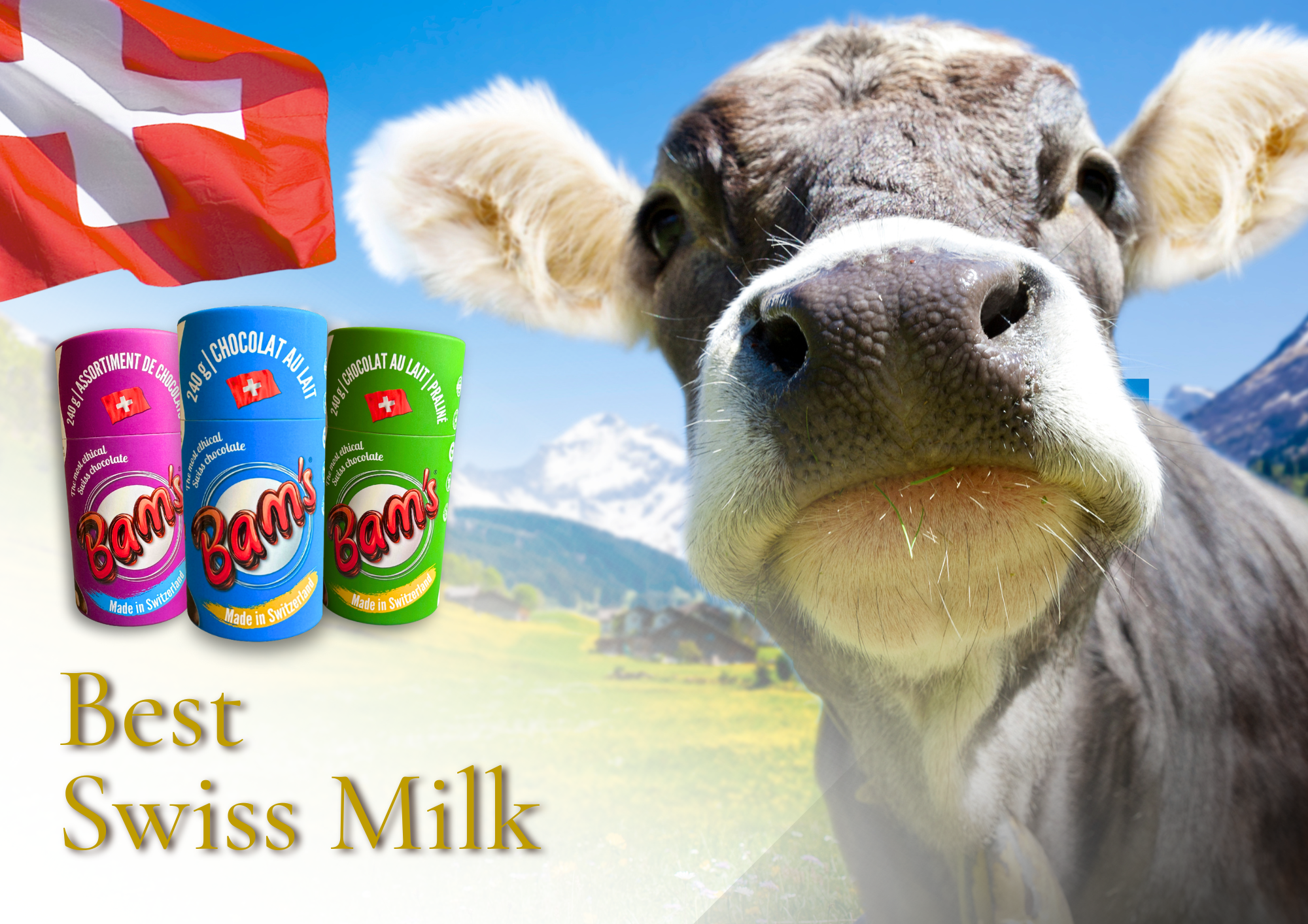  cocoa-valley-swiss-milk-chocolate 